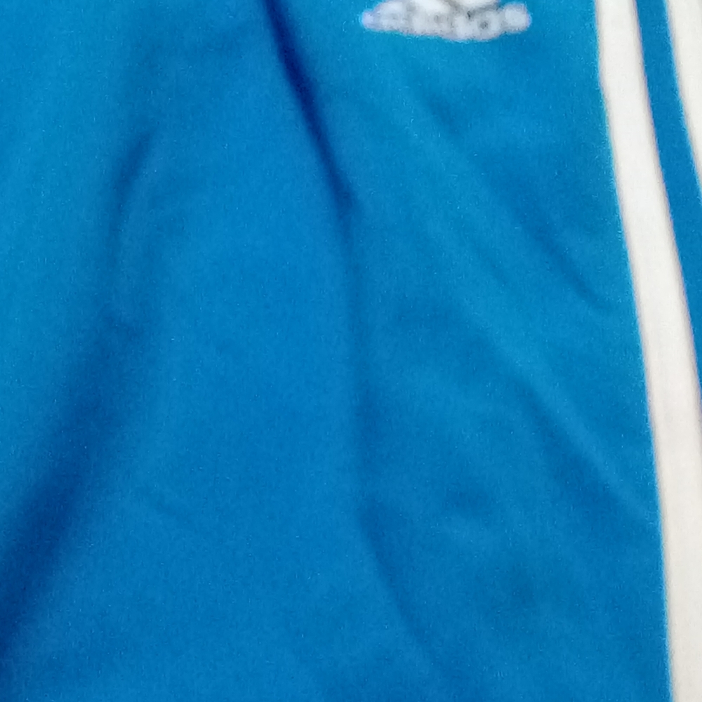 Addidas blue and white pants